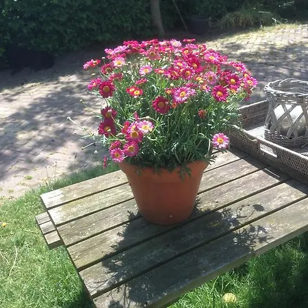 Bed & Breakfast Puur Den Dungen